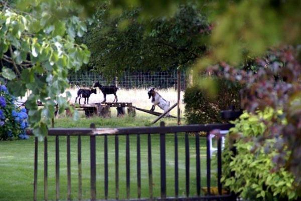 Bed and Breakfast Les Pieds Dans L'Herbe Rosporden Екстер'єр фото